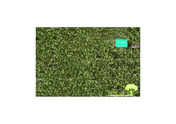 si920-22 si920-22