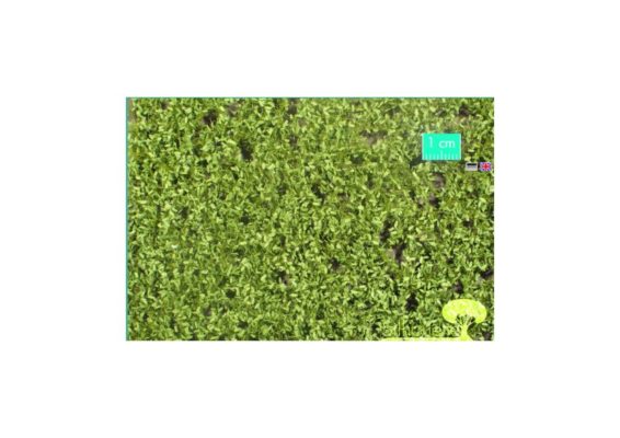 si980-21 si980-21