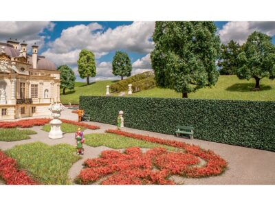 21520  Høj Mørkegrøn hæk